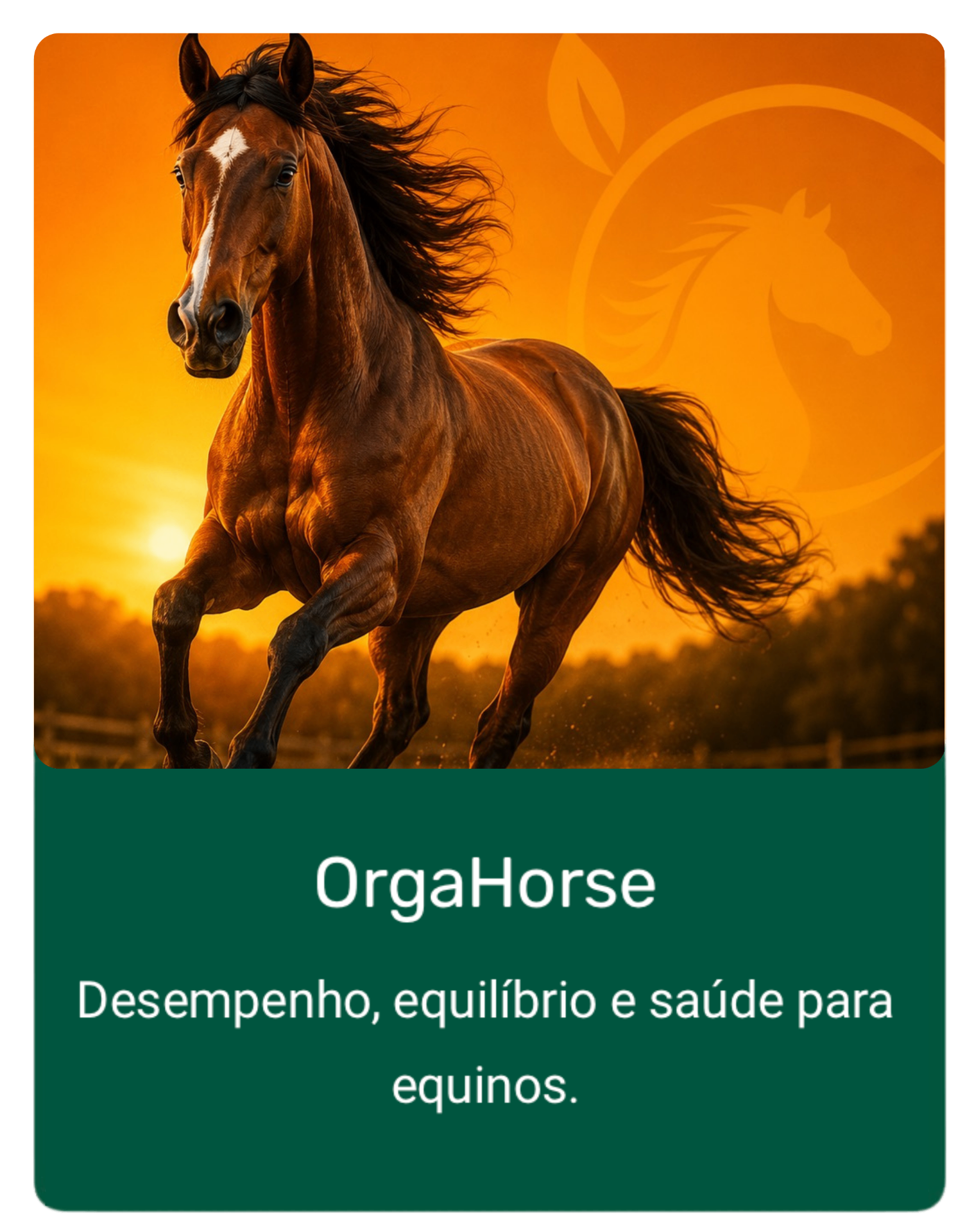OrgaHorse