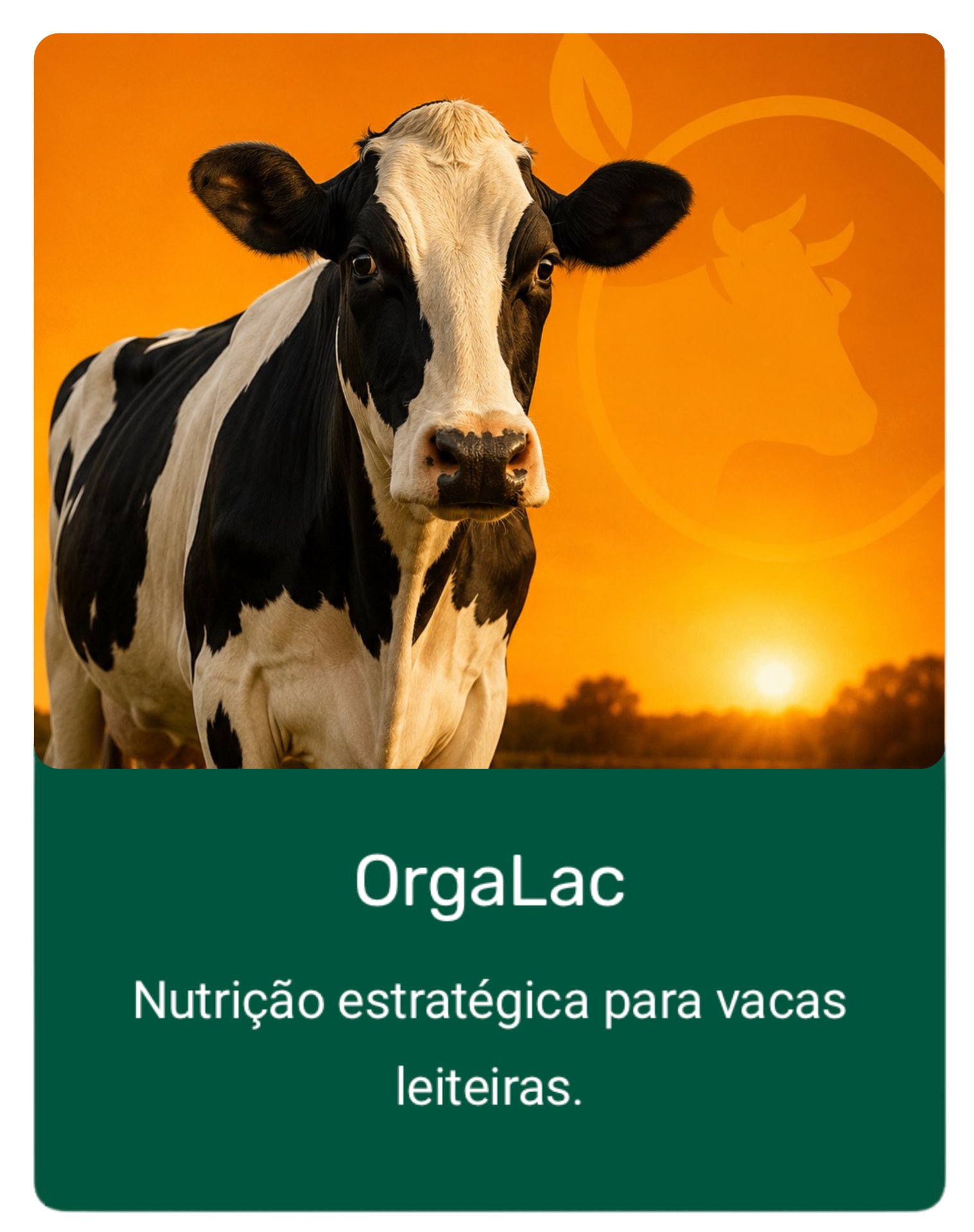 OrgaLac