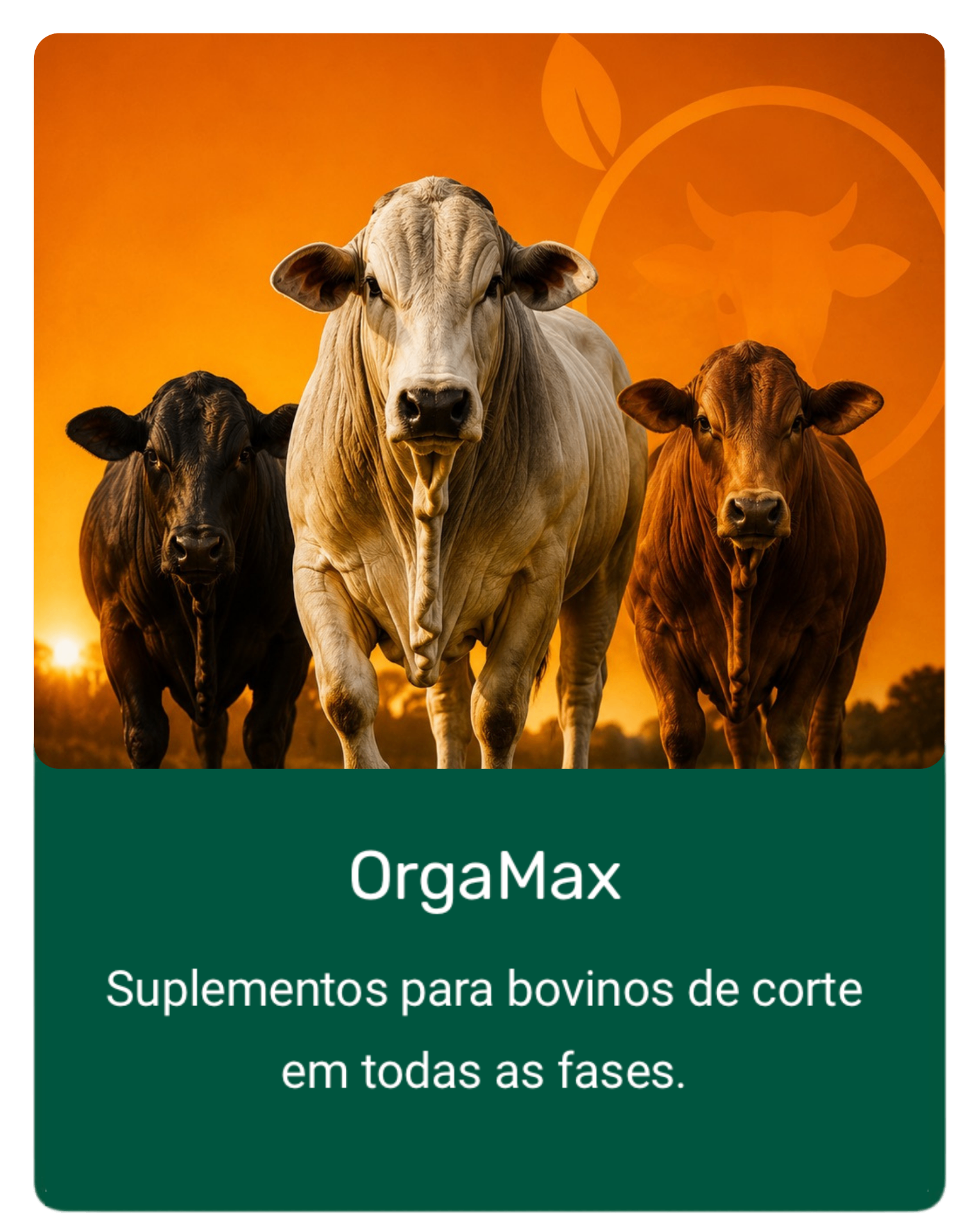 OrgaMax
