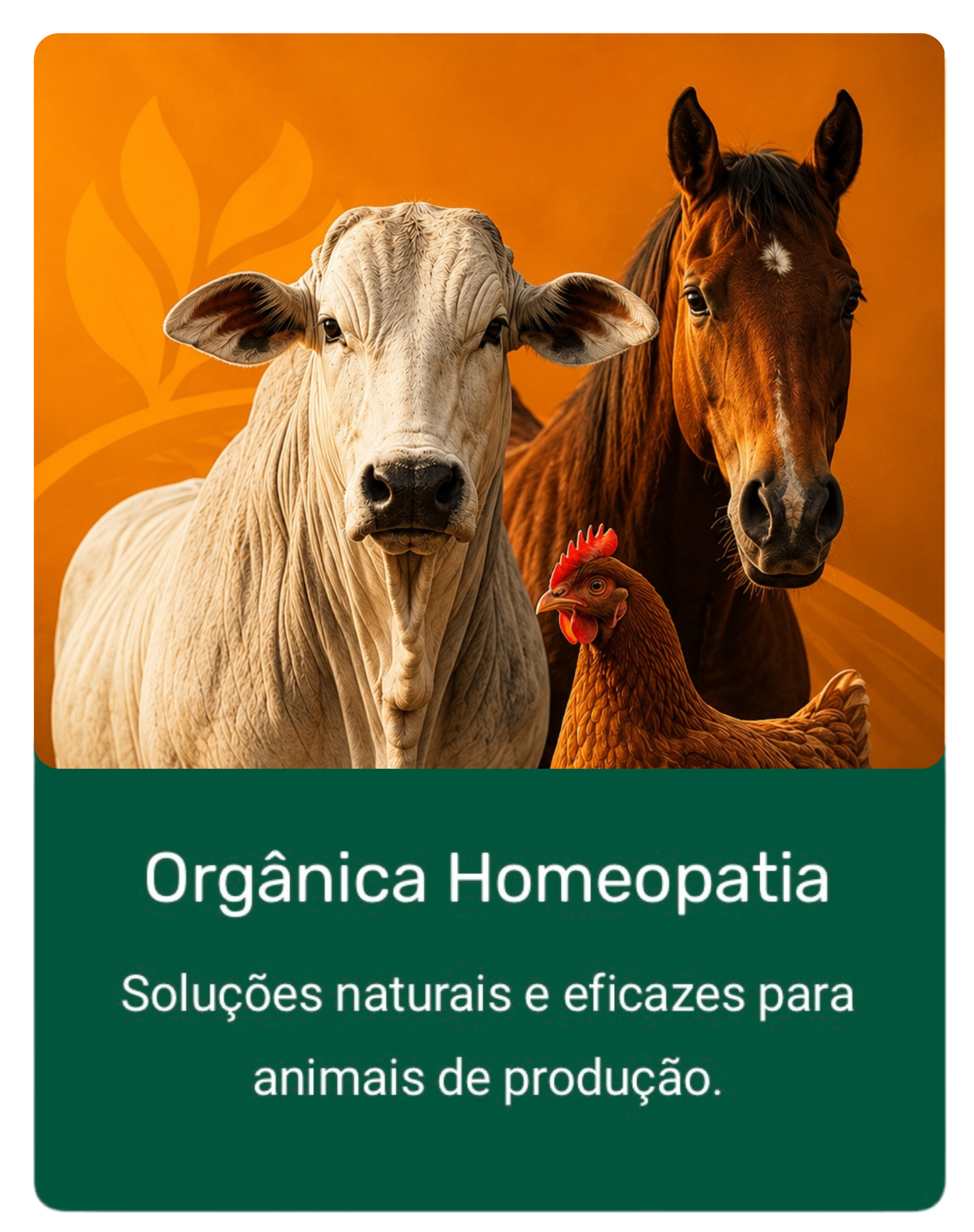 Orgânica Homeopatia