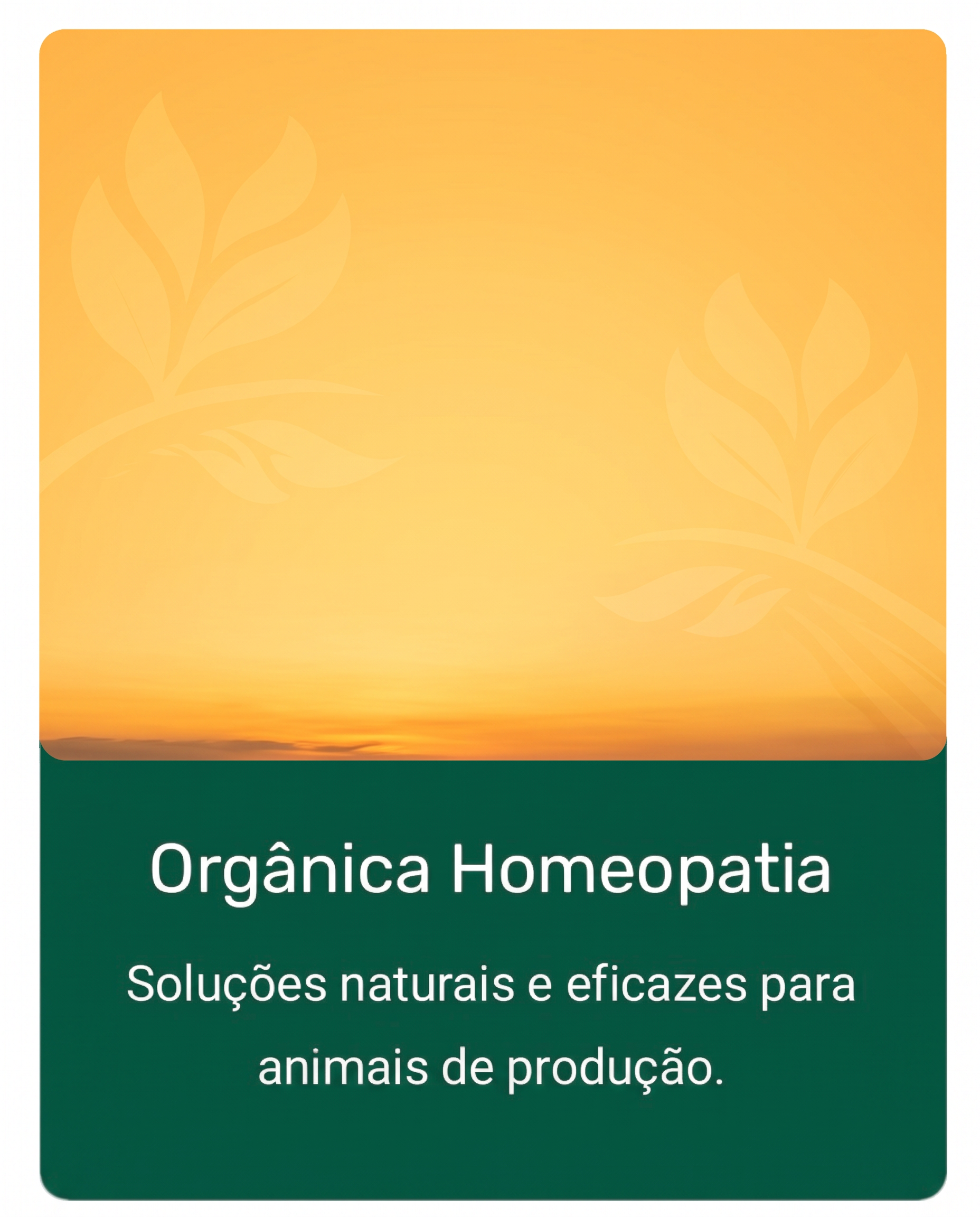 Orgânica Homeopatia